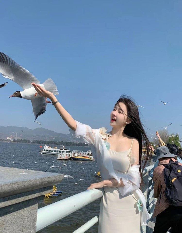 东北老阿姨高清免费观看电视剧,高清电影大全